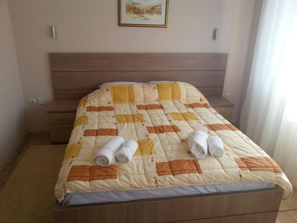 Garni Hotel Crystal Ice Ni 部屋 写真